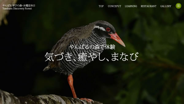 やんばる学びの森